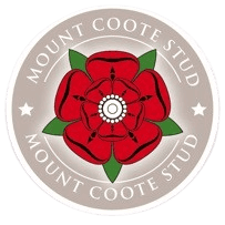 Mount Coote Stud management team at the office