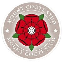 Mount Coote Stud management team at the office