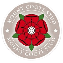 Mount Coote Stud management team at the office