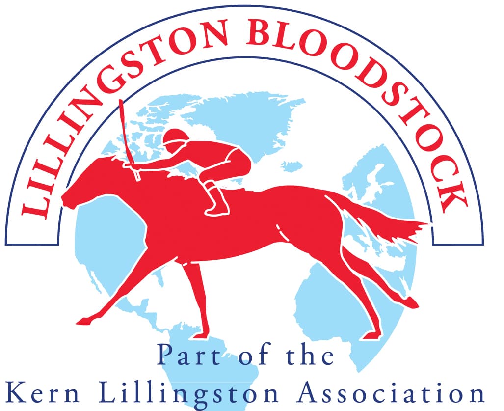 Kern Lillingston, Lillingston Bloodstock and Mount Coote Stud team